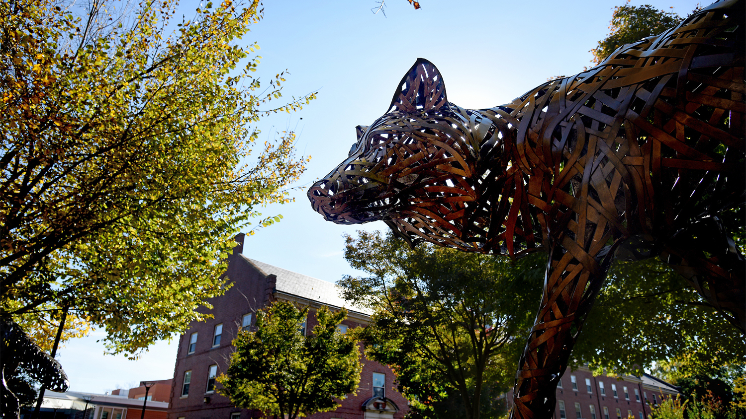 Wolf Plaza